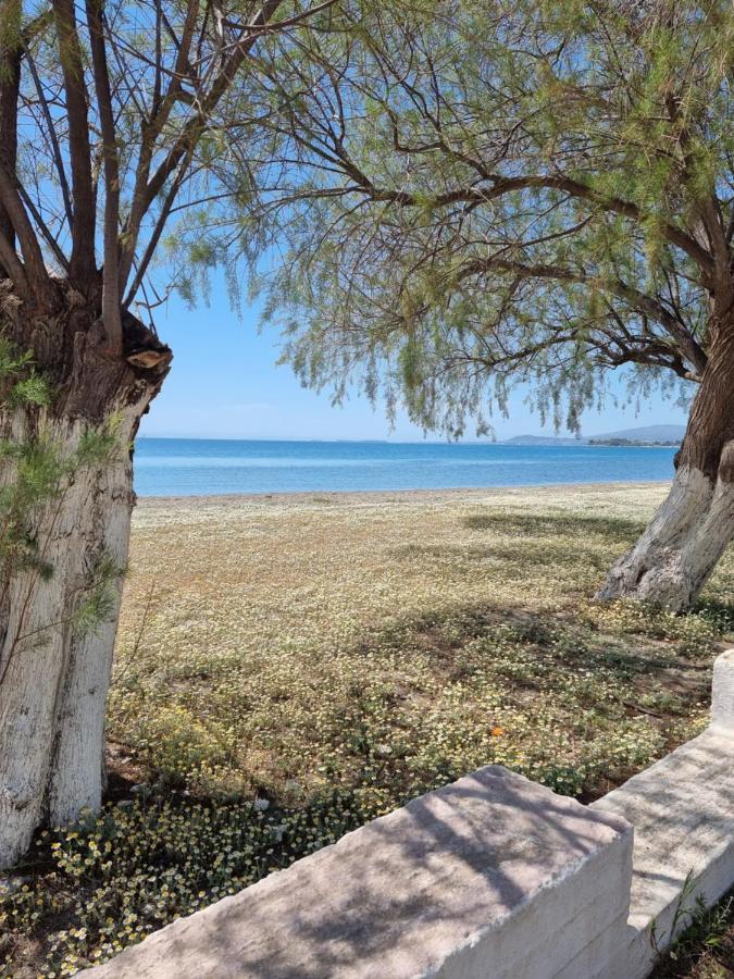 To Kyma Aparthotel Amarynthos Bagian luar foto